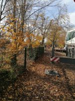 IMG_20211106_131711_klein